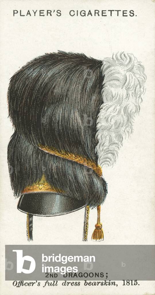Military Head-Dress, 2nd Dragoons, Officer's full dress bearskin, 1815 (chromolitho)