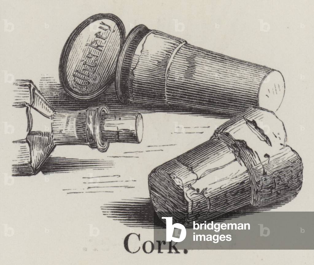 Cork (engraving)