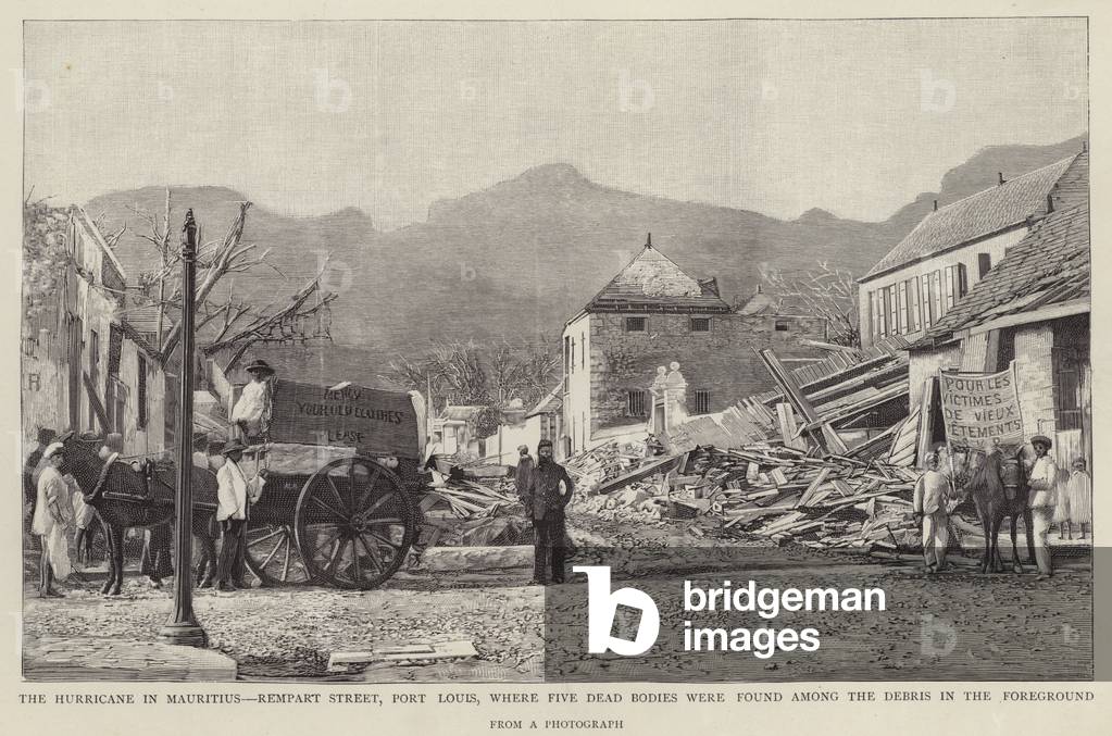 Damage on Rempart Street, Port Louis, caused by the 1892 Mauritius Cyclone (litho)