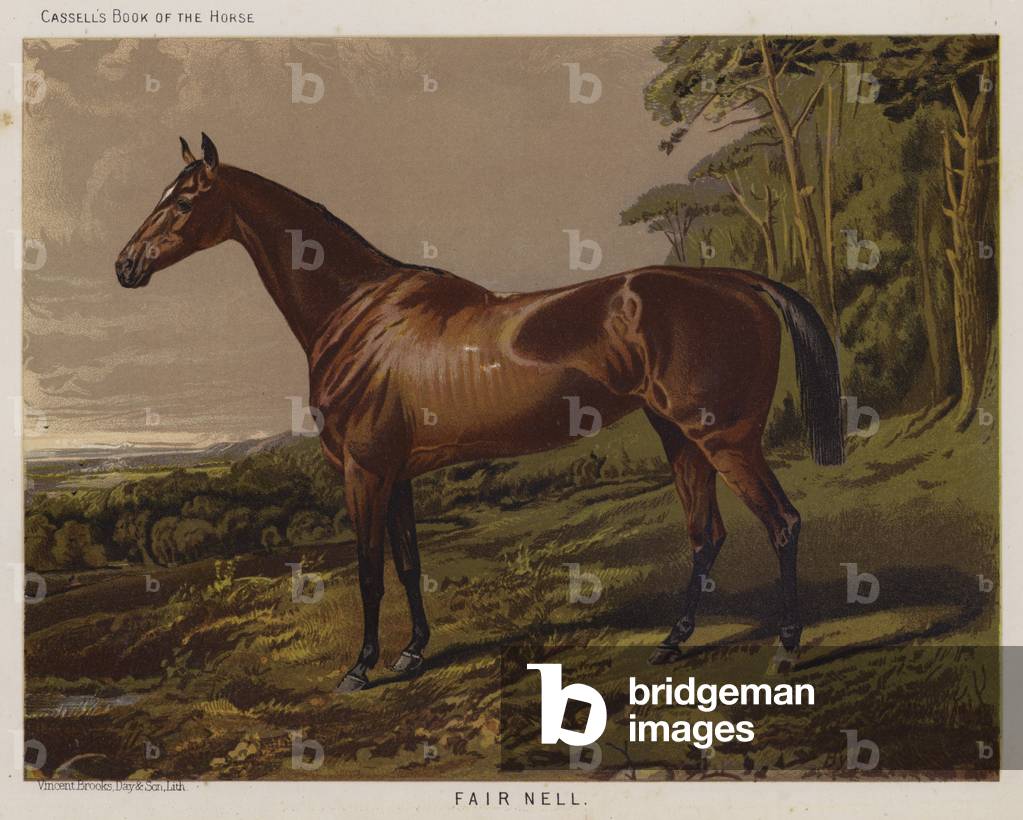 Fair Nell (colour litho)