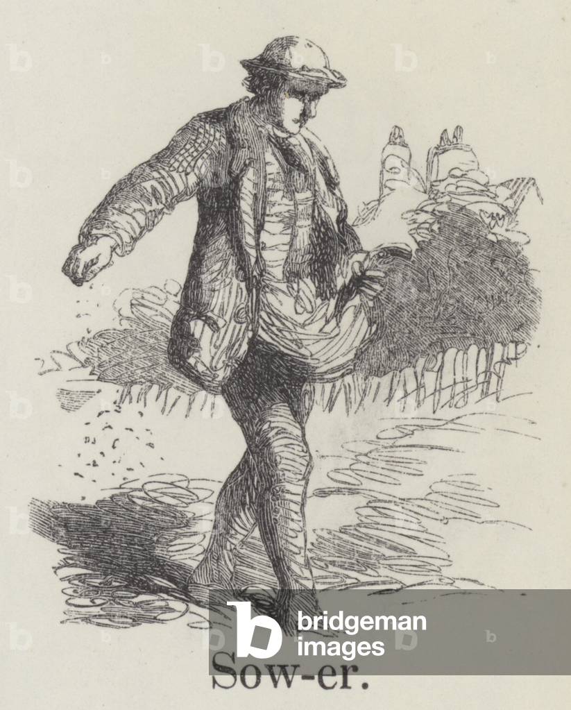 Sower (engraving)