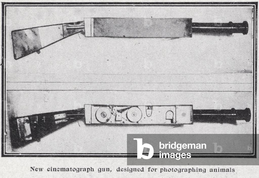 Cinematograph gun for photographing animals (b/w photo)