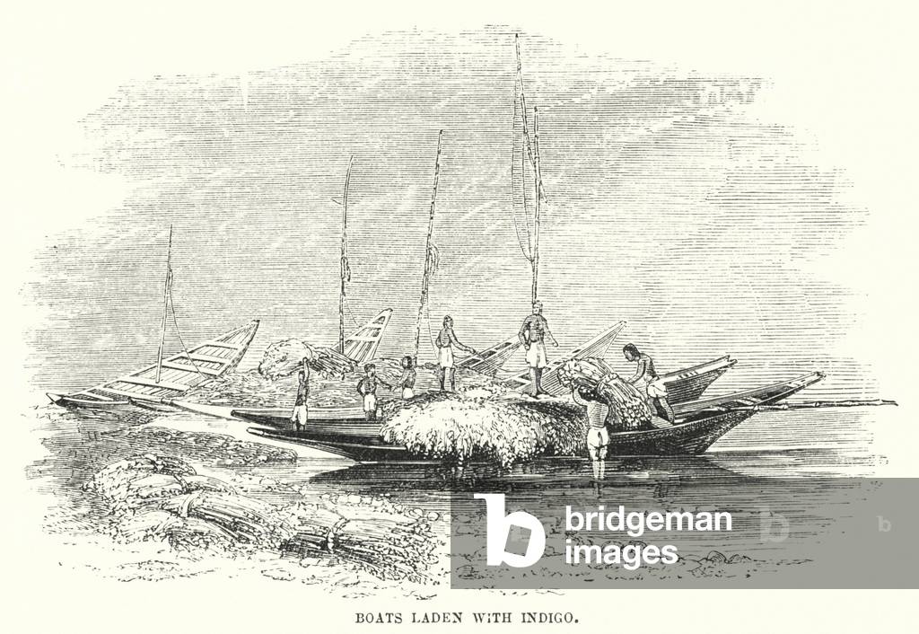 Boats laden with Indigo (engraving)