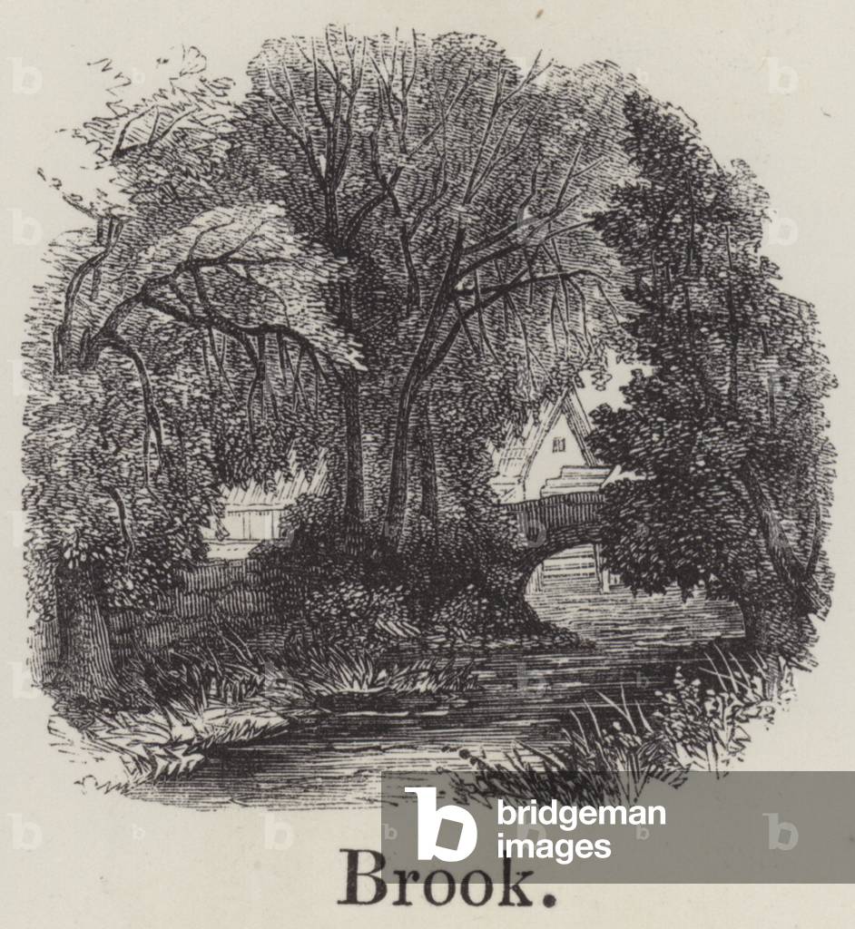 Brook (engraving)