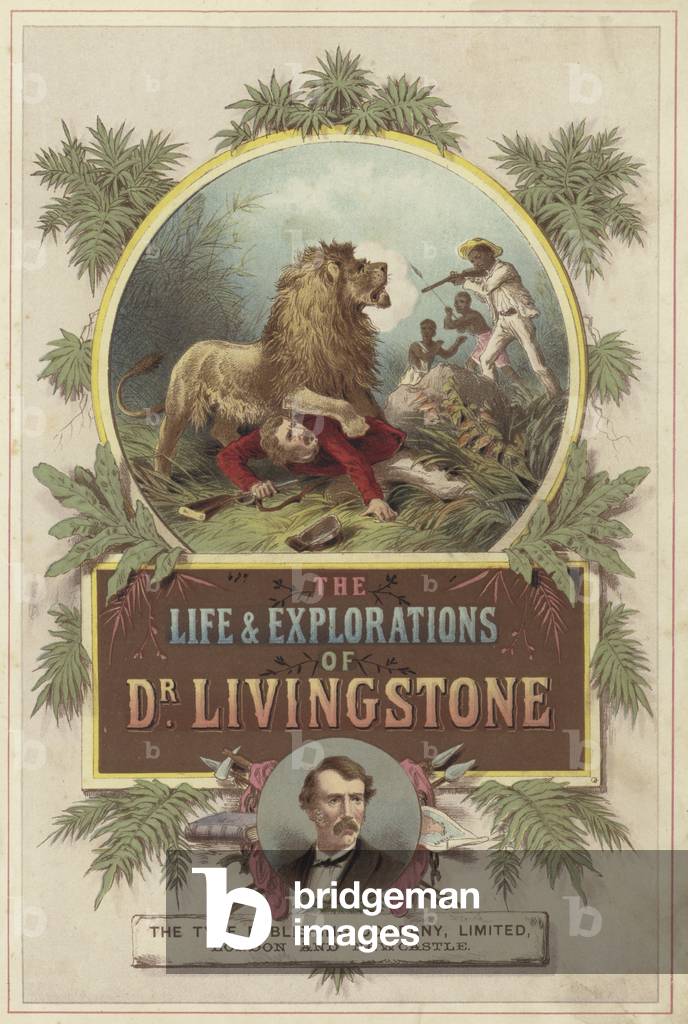 Frontispiece for The Life and Explorations of David Livingstone (chromolitho)