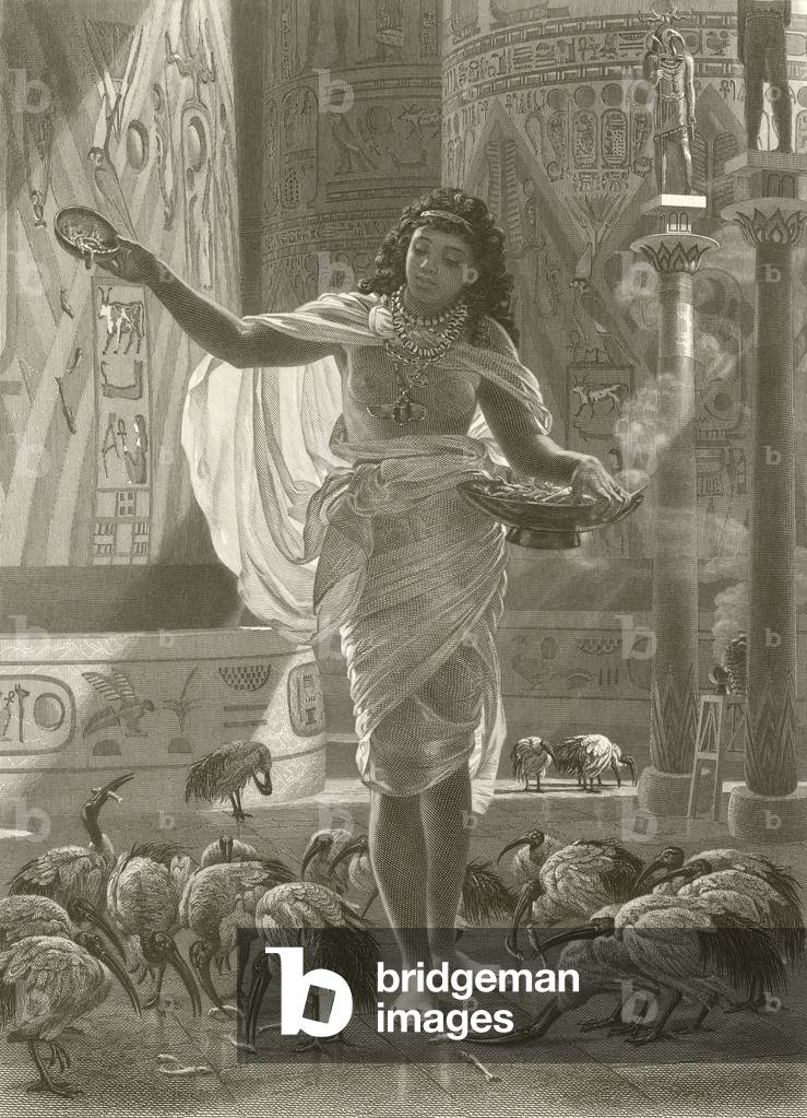 Feeding the sacred ibis in the halls of Karnac (engraving)