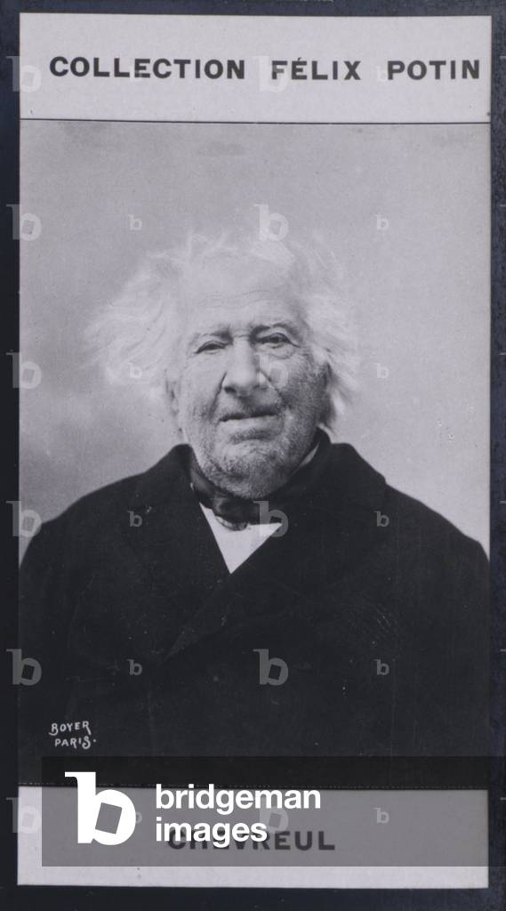 Eugene Chevreul (1786-1889) (b/w photo)