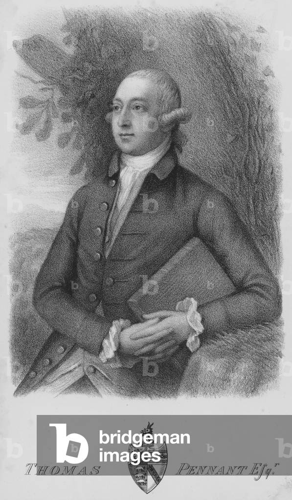 Thomas Pennant, portrait (engraving)