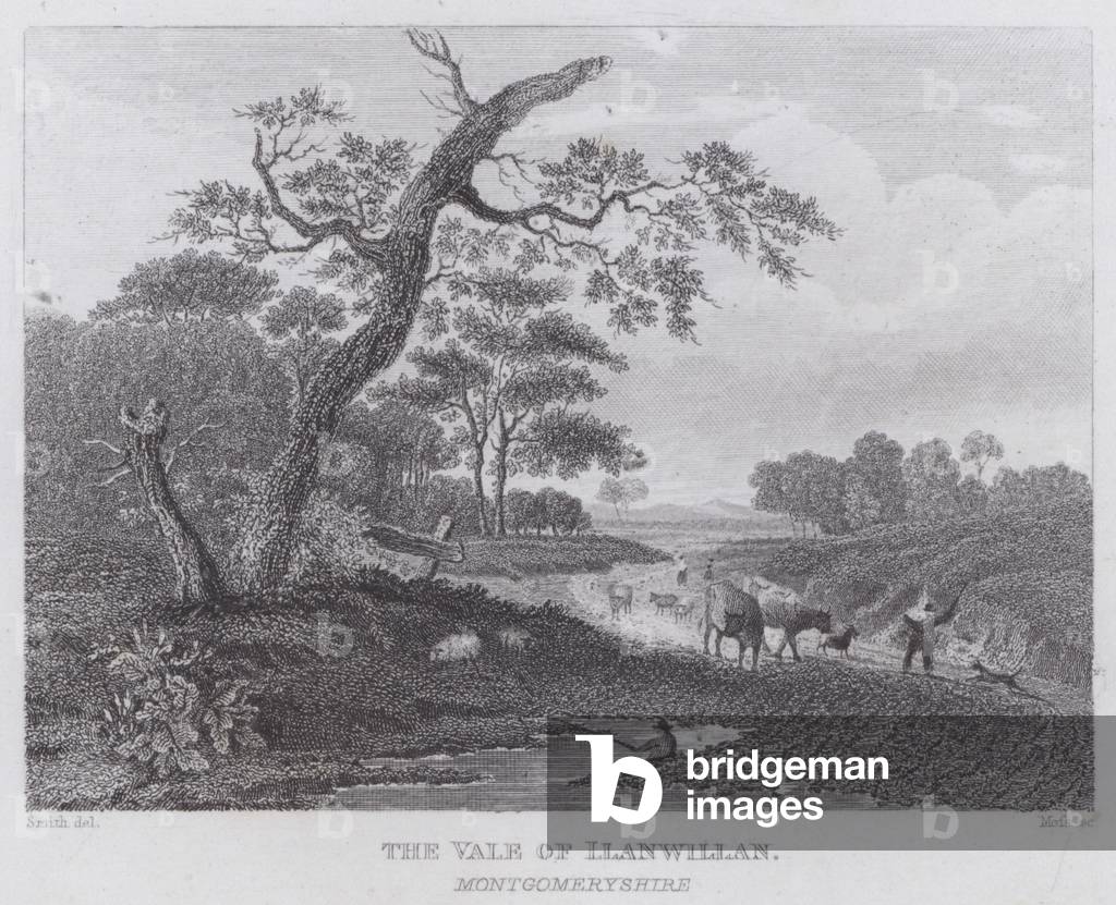 The Vale of Llanwillan, Montgomeryshire (engraving)
