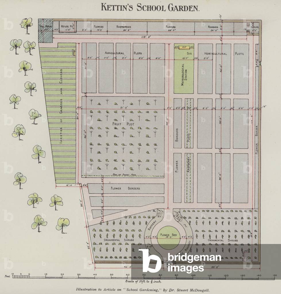 Kettin's School Garden (colour litho)