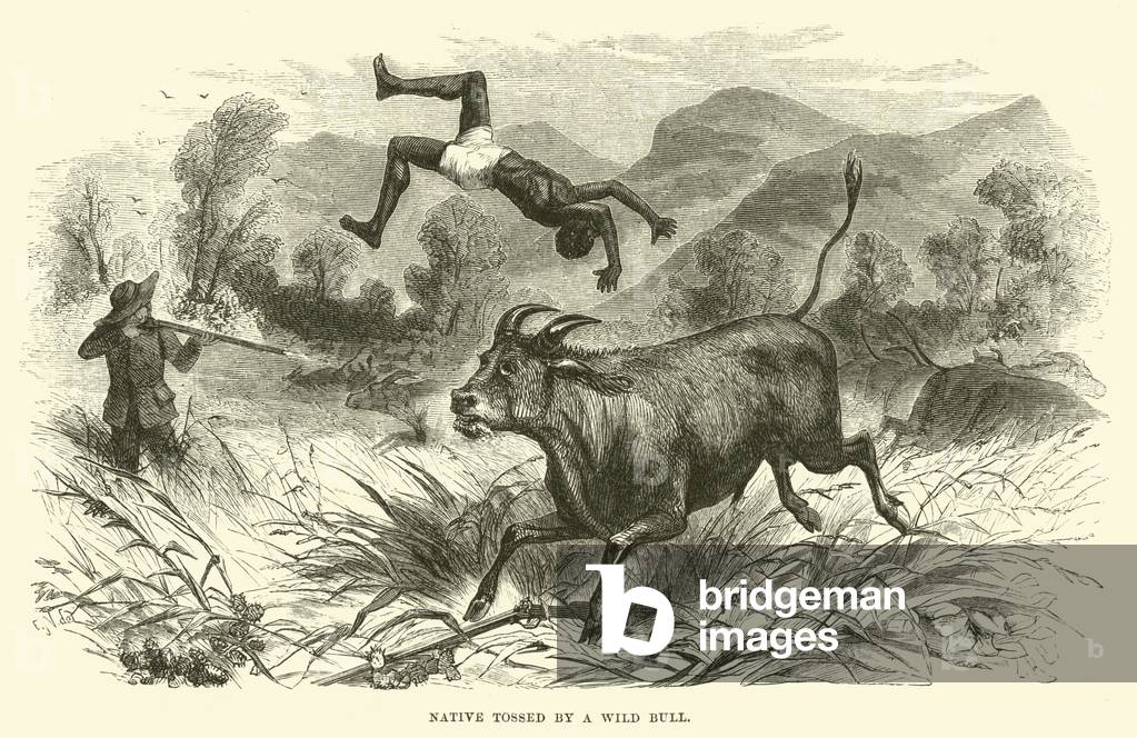 Native tossed by a Wild Bull (engraving)