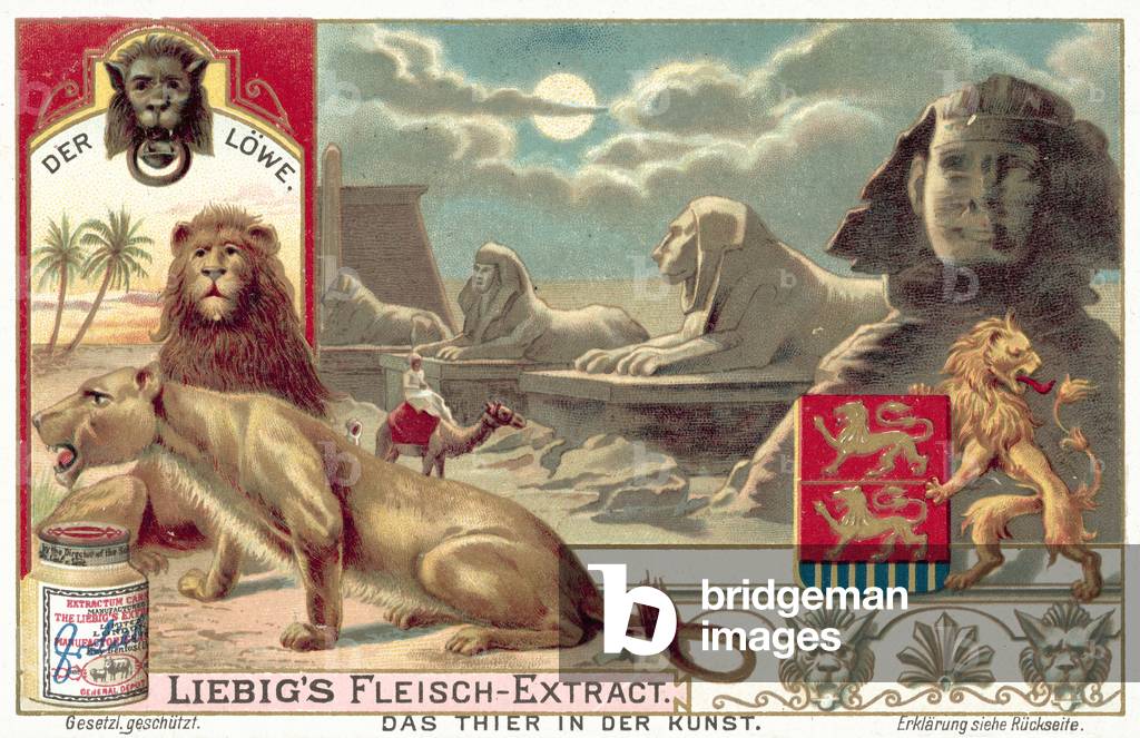 The lion (chromolitho)