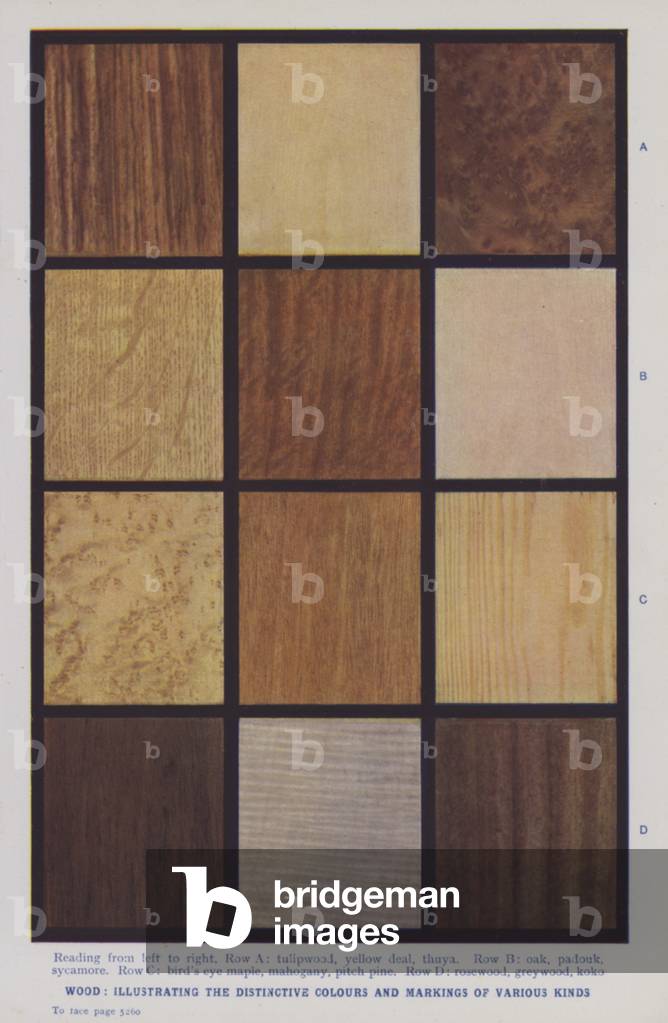 Wood, illustrating the distinctive colours and markings of various kinds (colour photo)