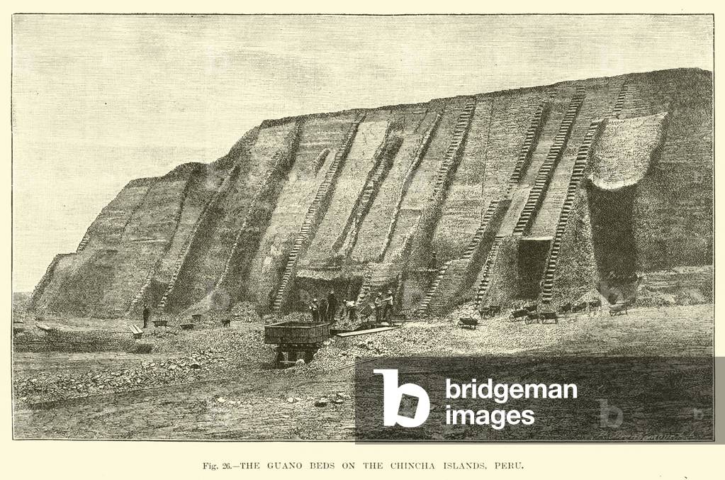 The Guano Beds on the Chincha Islands, Peru (engraving)