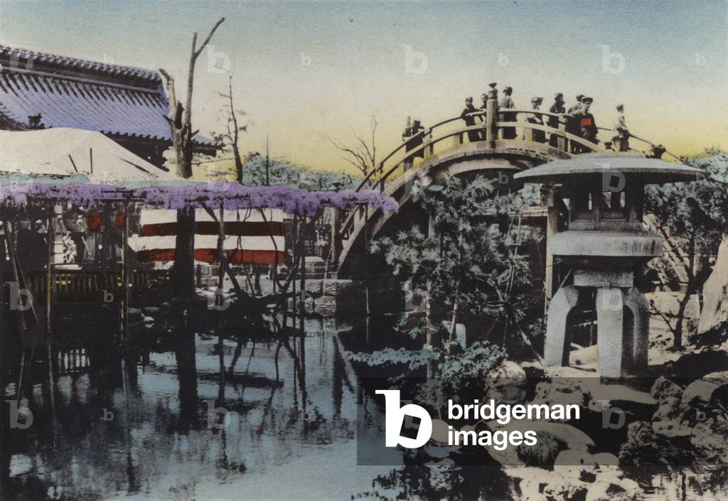 Japan, c.1912: Kameido Temple ground noted for Wisteria blossom in May and Drum Bridge in the groung (photo)