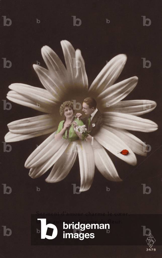 A young couple in the centre of a flower with ladybird (tinted photocollage)