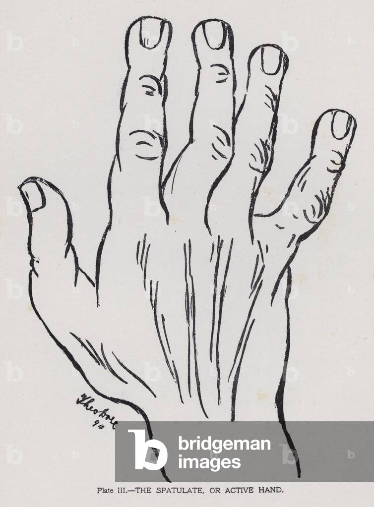 The spatulate, or active hand (b/w photo)