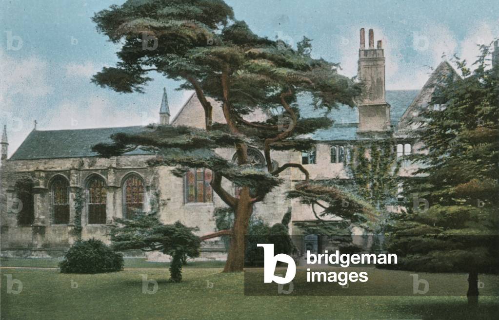 Wadham College (photo)
