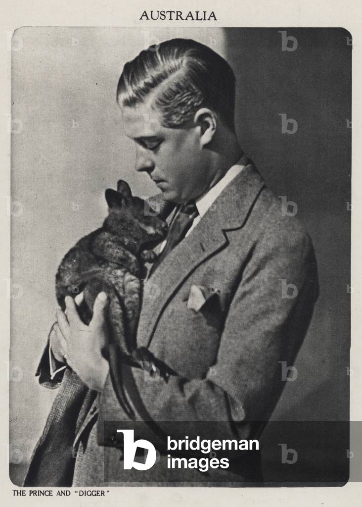 Prince of Wales and Digger, a baby kangaroo (b/w photo)