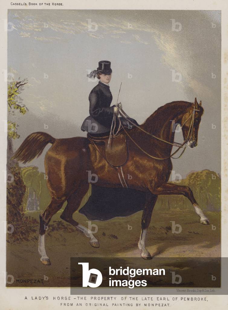 A Lady's Horse, The Property of the late Earl of Pembroke (colour litho)
