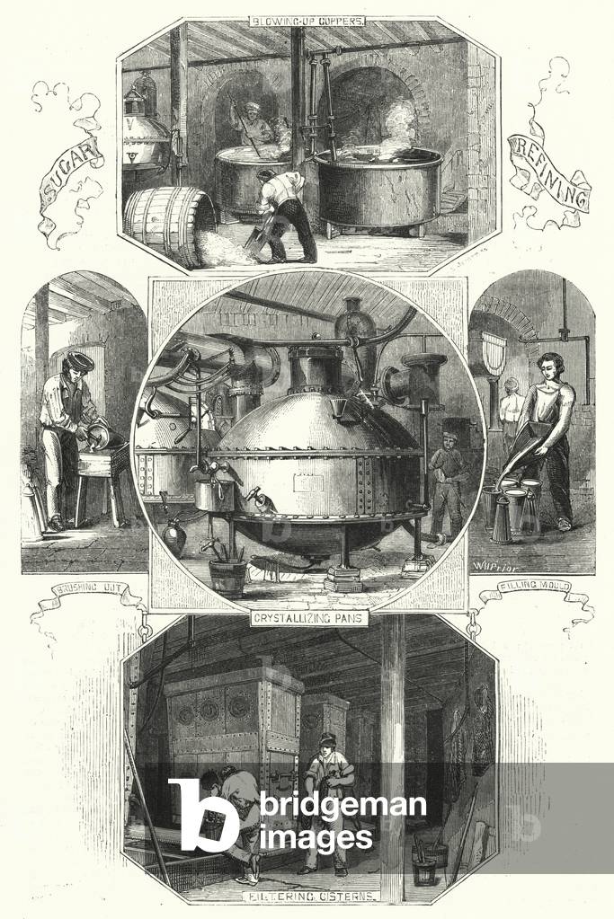 Sugar Refining (engraving)