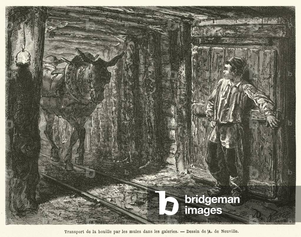 Transport de la houille par les mules dans les galeries (engraving)