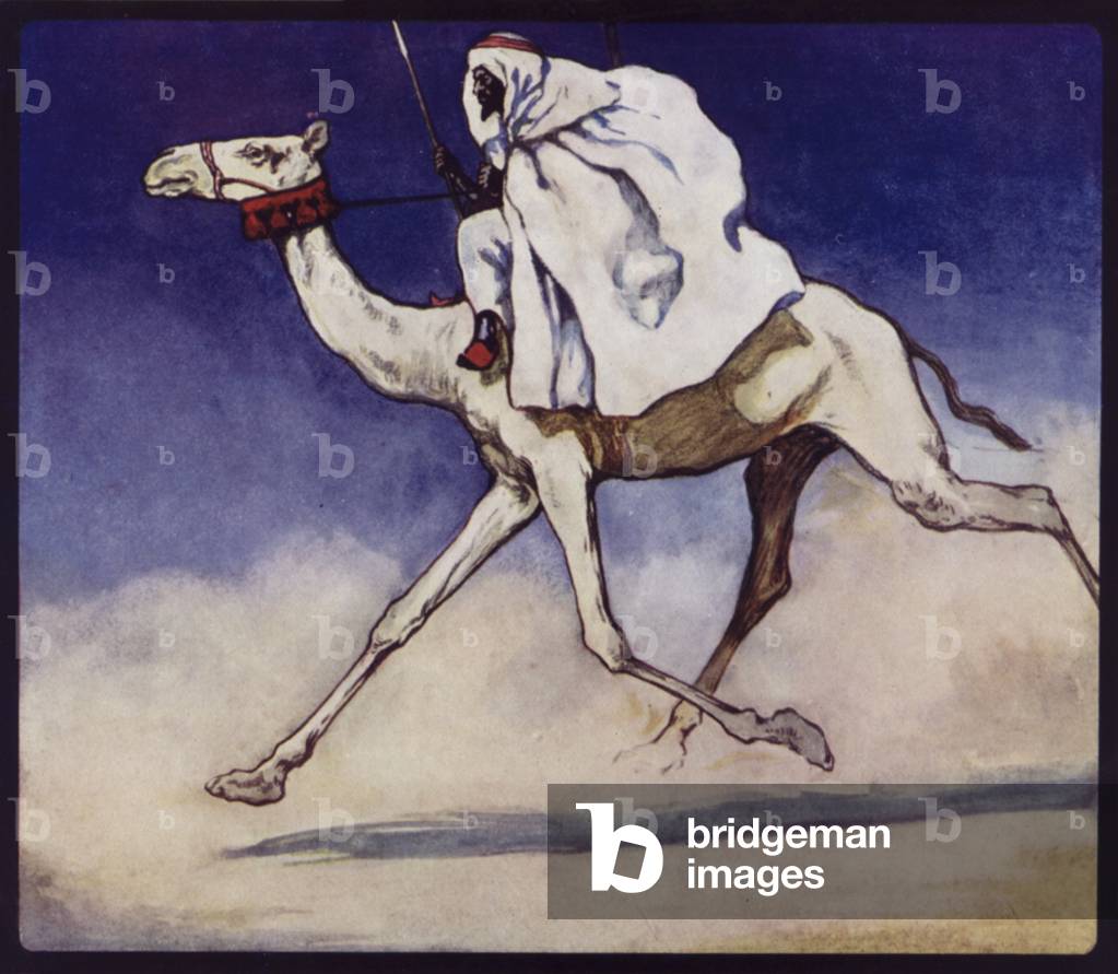 Racing Camel (colour litho)