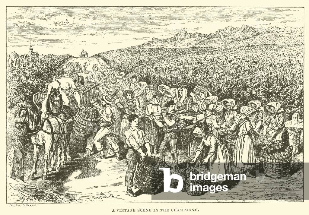 A Vintage Scene in the Champagne (engraving)