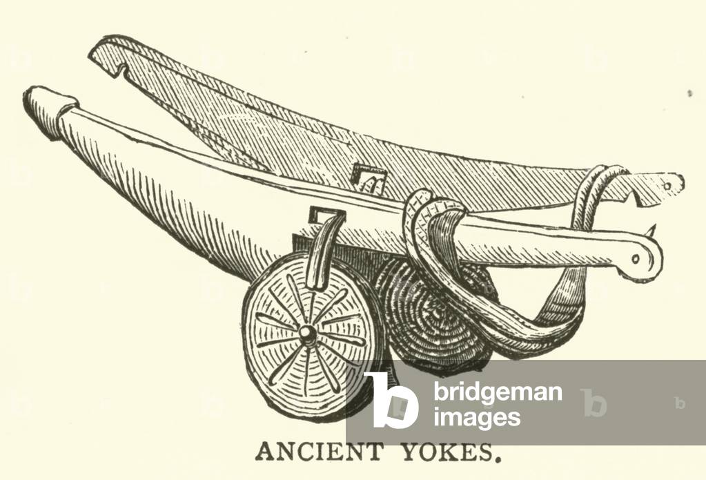 Ancient yokes (engraving)