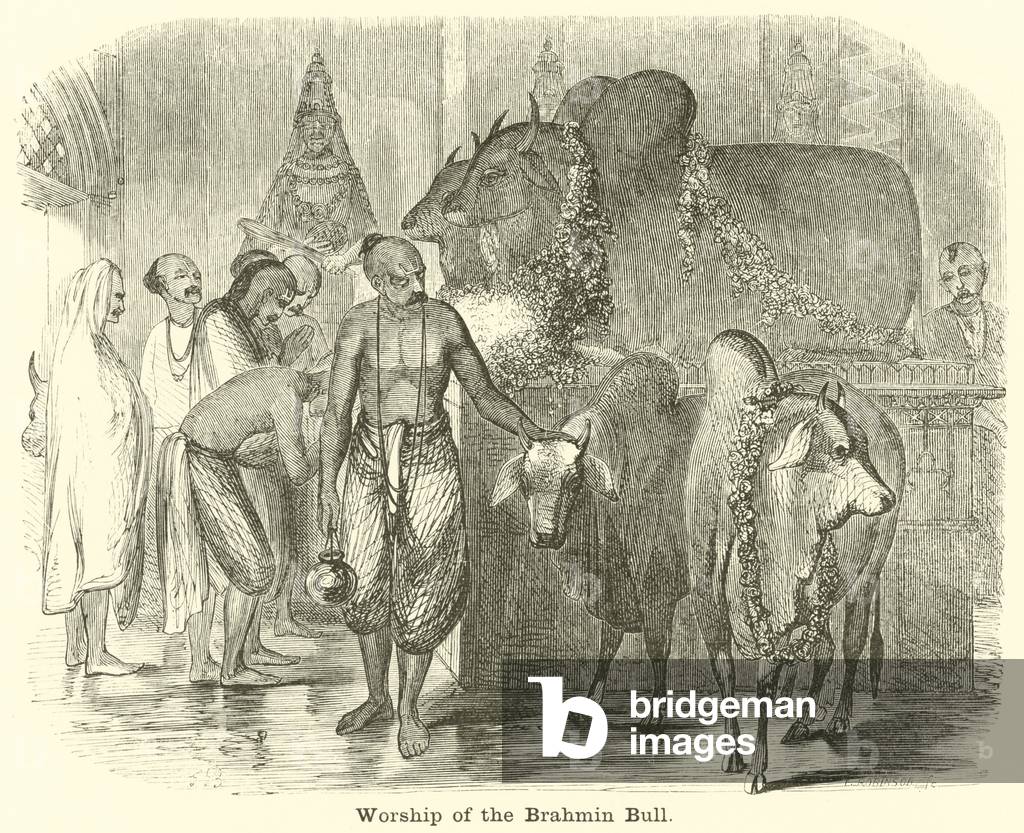 Worship of the Brahmin Bull (engraving)
