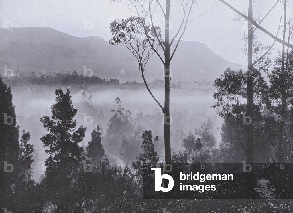 The Early Morning Mist Rising at Nuwara Eliya (b/w photo)