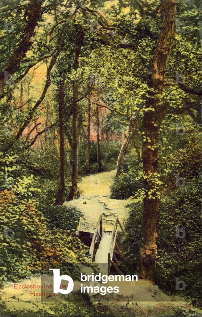 Ecclestone Glen, Hastings (colour photo)