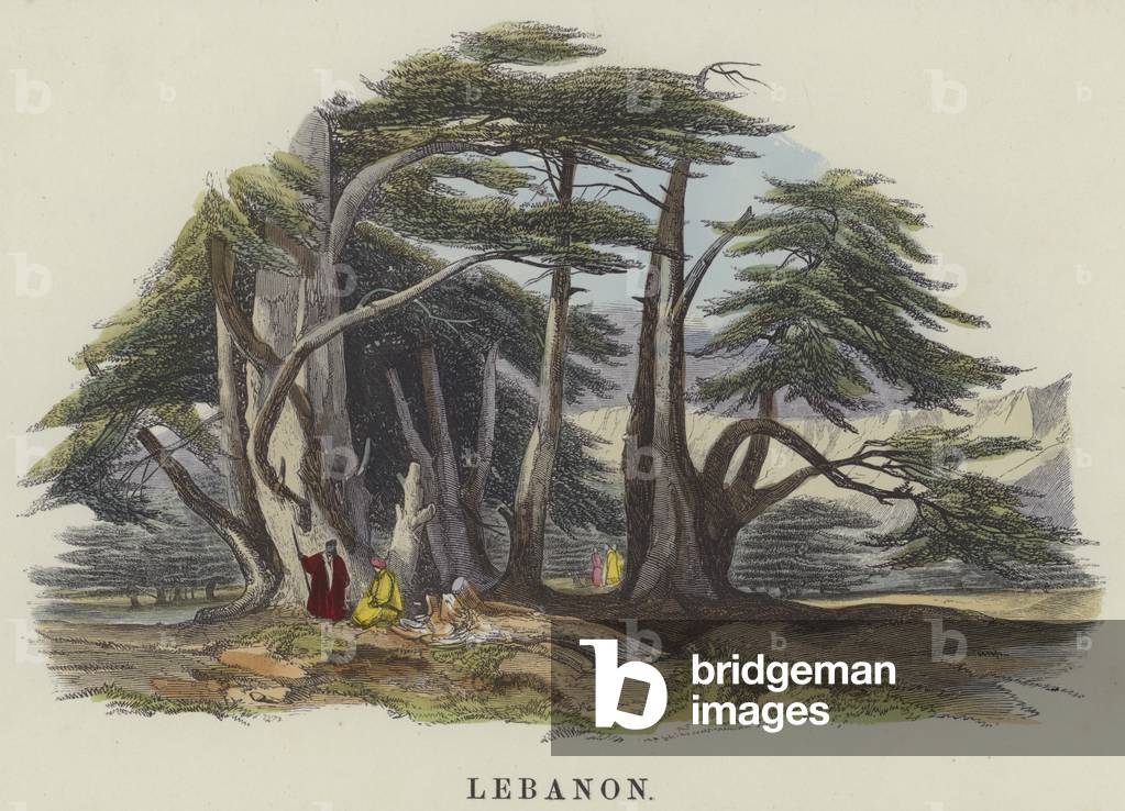Lebanon (coloured engraving)