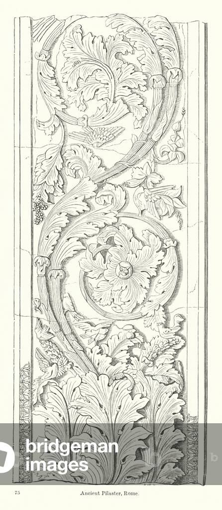 Ancient Pilaster, Rome (engraving)