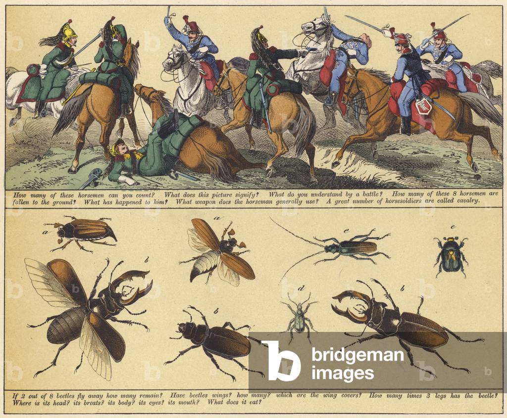 Page from The New Picture Book (colour litho)