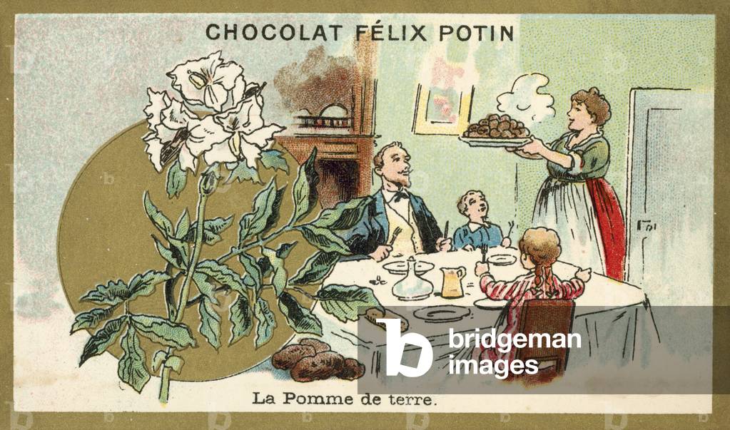 The potato (chromolitho)