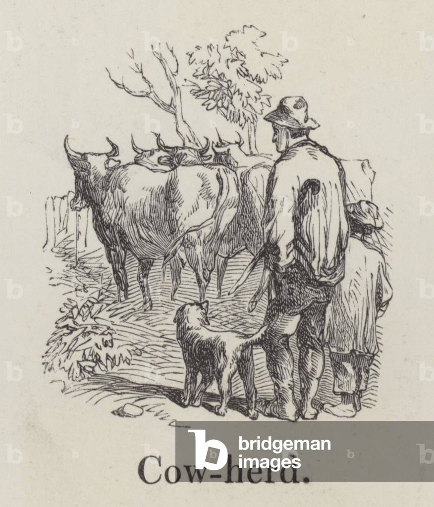 Cowherd (engraving)