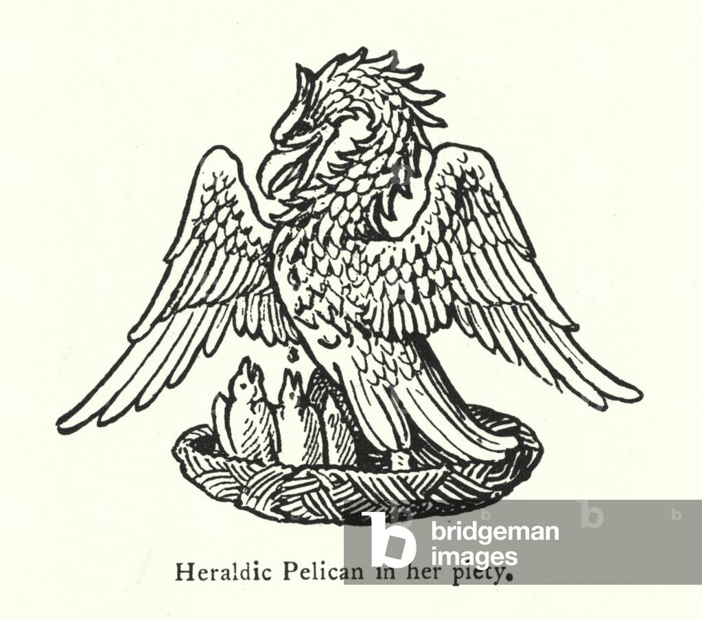 Heraldic Pelican in her piety (engraving)