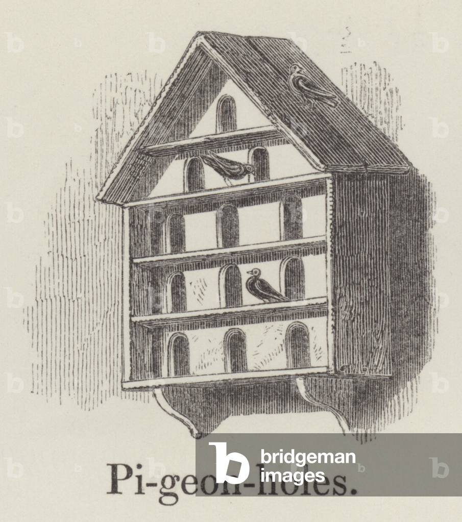 Pigeonholes (engraving)