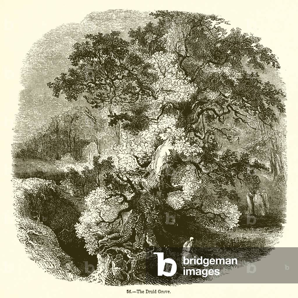The Druid Grove (engraving)