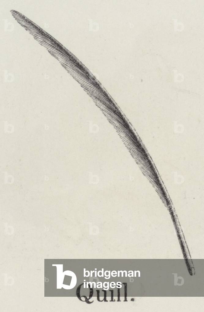 Quill (engraving)