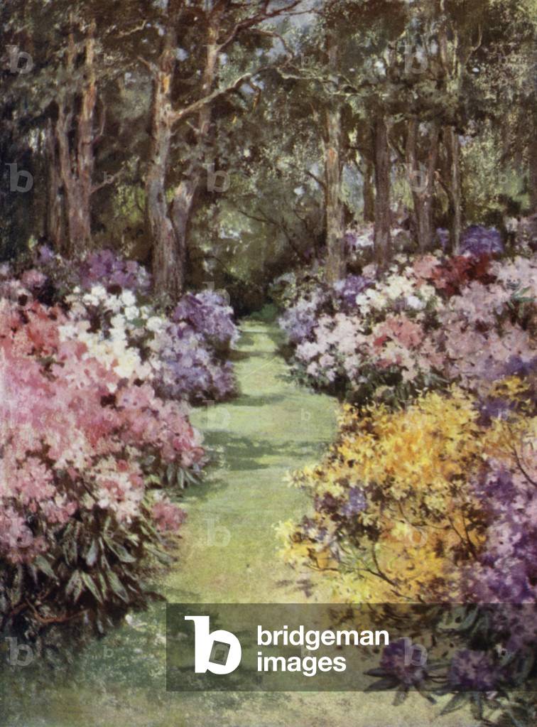 Scottish Gardens: The Hirsel (colour litho)