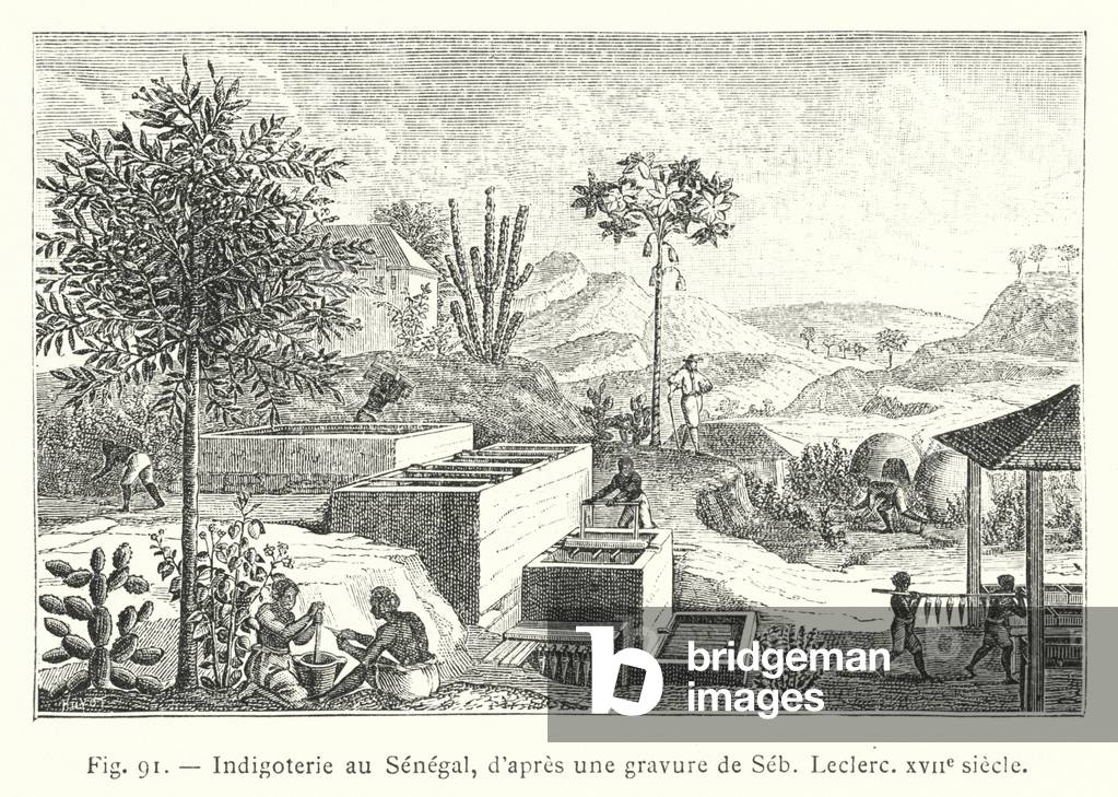 Indigoterie au Senegal, d'apres une gravure de Seb, Leclerc, XVIIe siecle (engraving)
