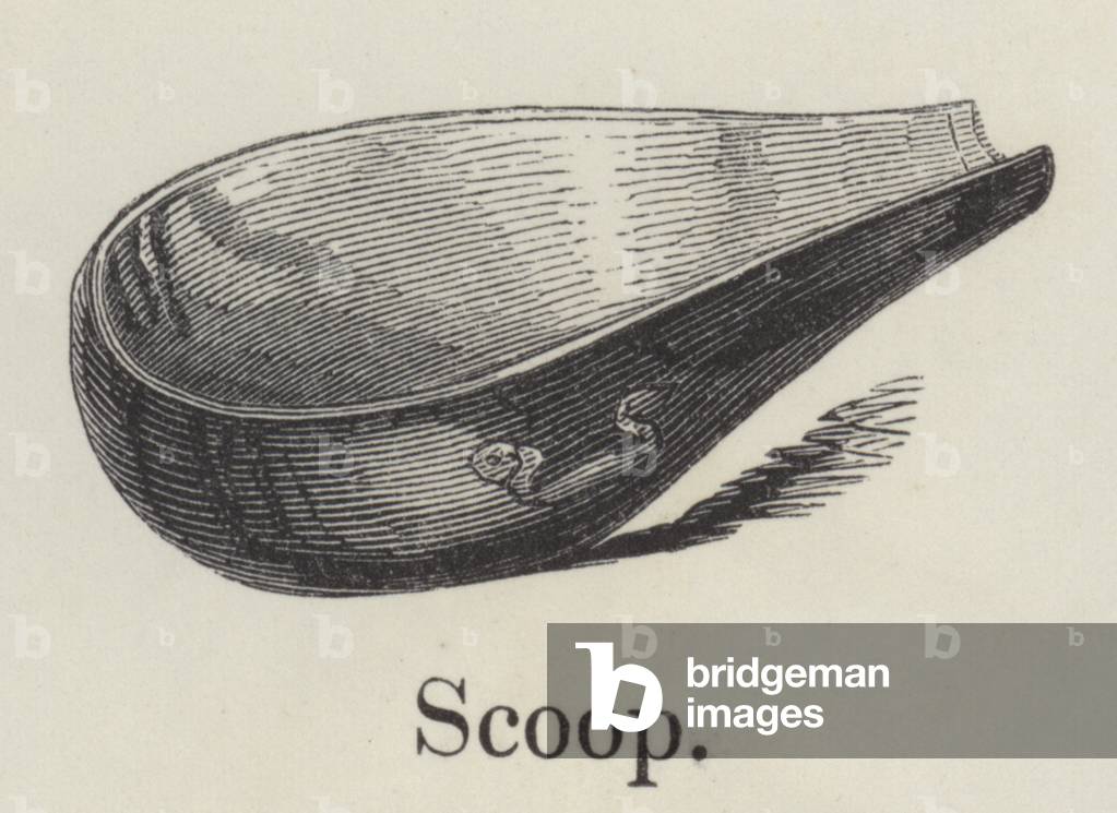 Scoop (engraving)