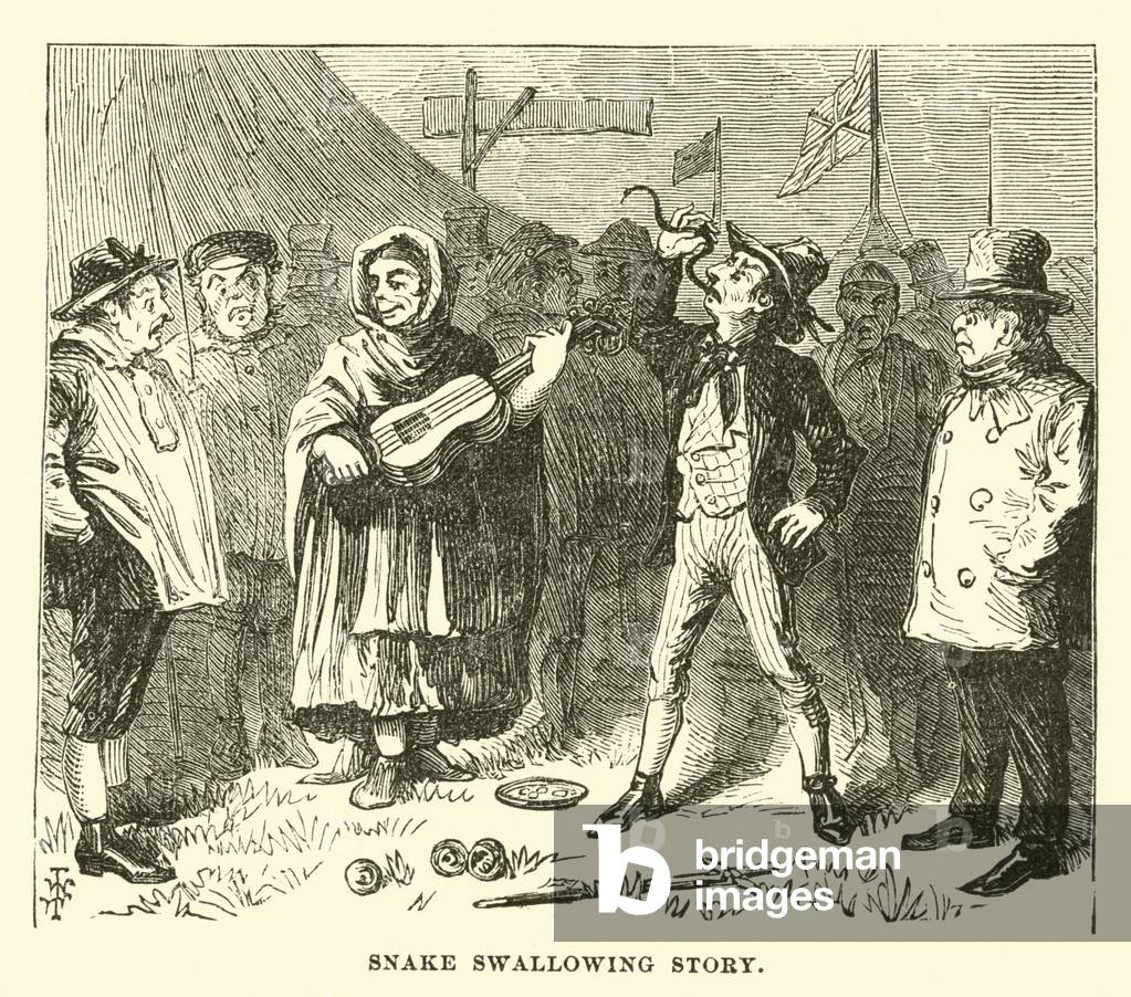 Snake swallowing story (engraving)