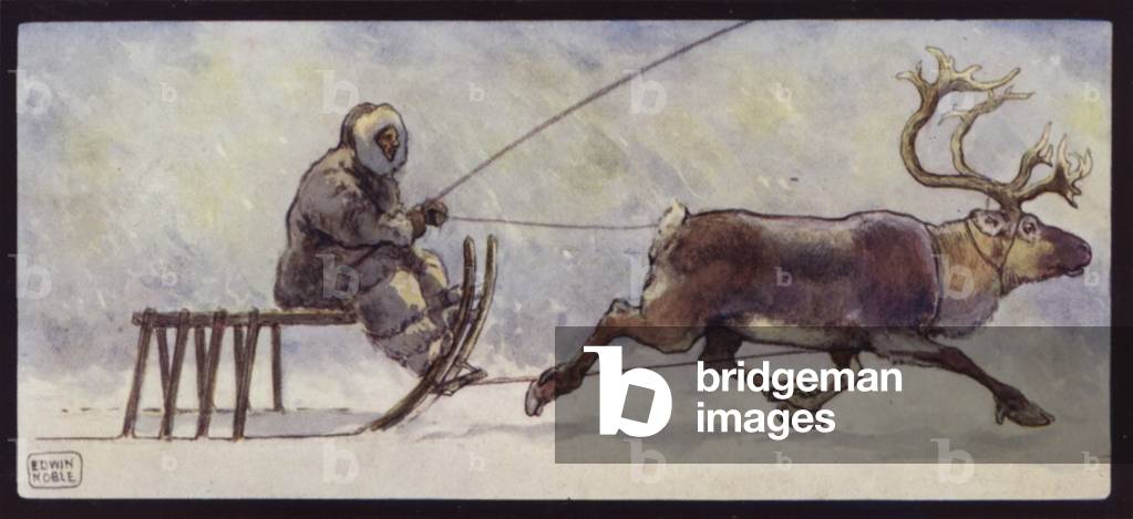 A Lapp and Reindeer Sledge (colour litho)