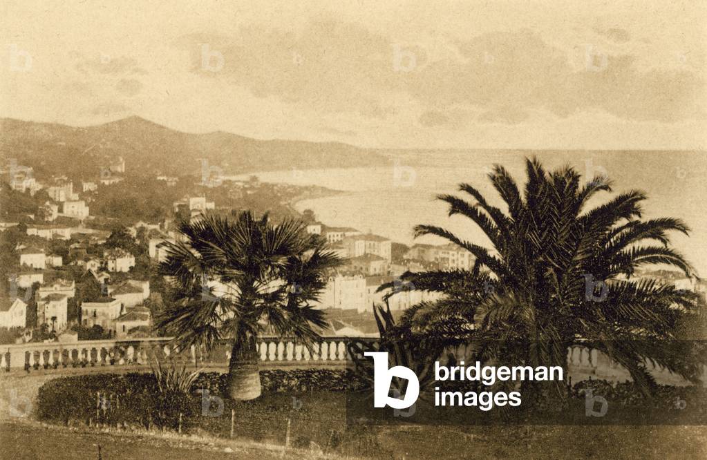 San Remo, Giardino Regina Elena (b/w photo)