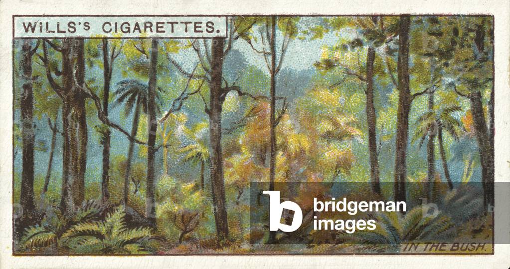Australia, In the Bush (chromolitho)