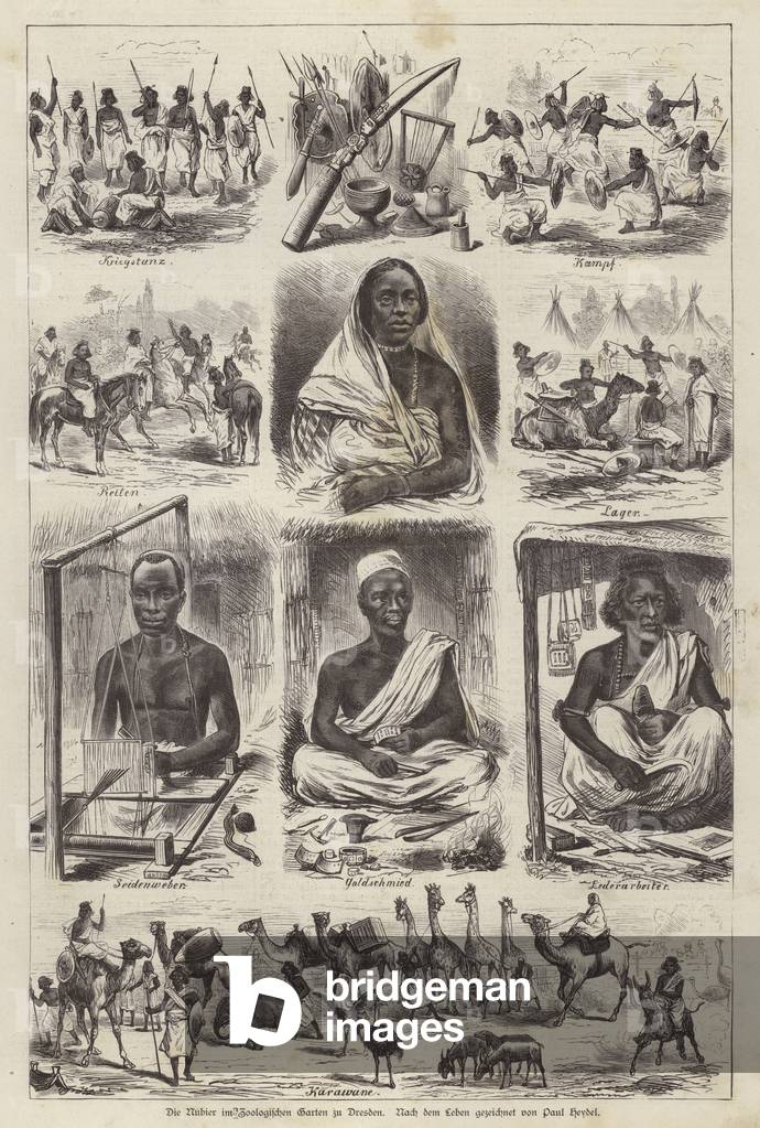 Nubians at the Zoological Garden of Dresden, Germany (engraving)