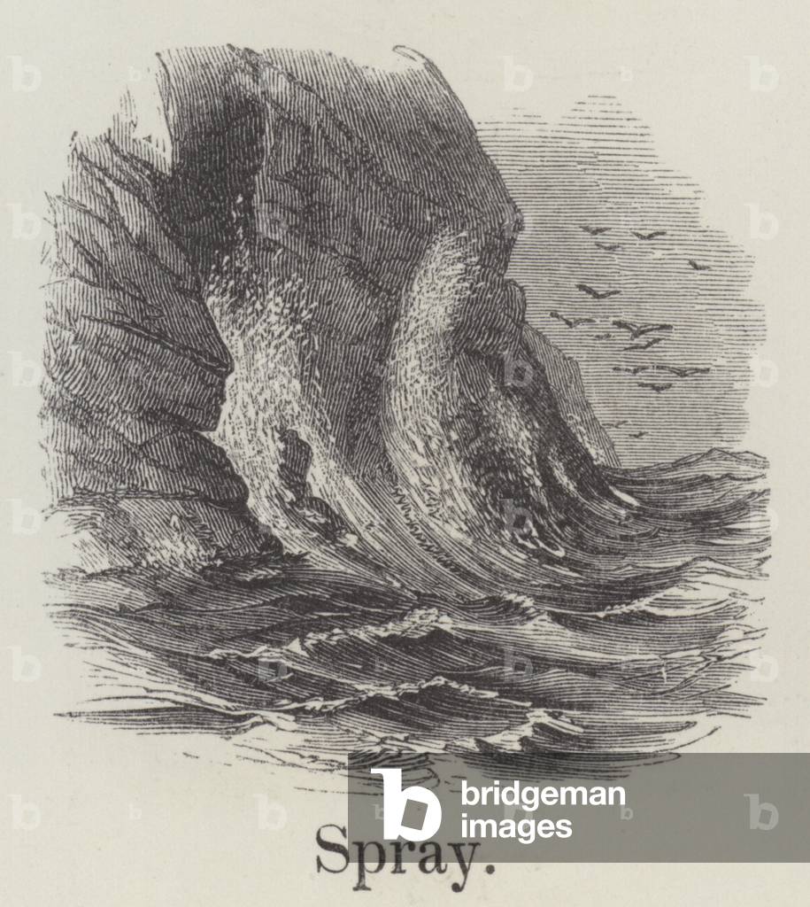 Spray (engraving)